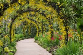 Botanic garden archway